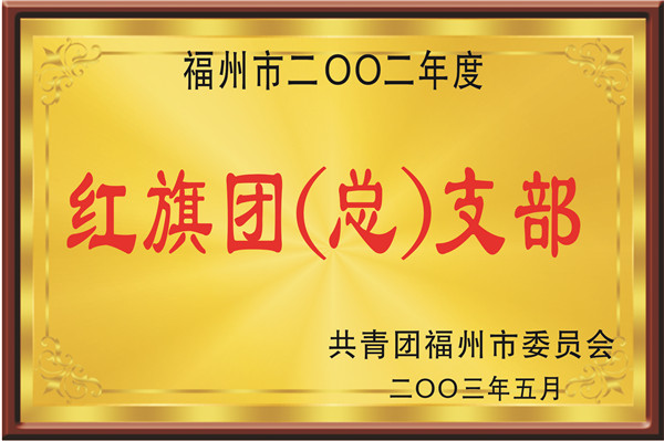 福州市红旗团（总）支部2003年