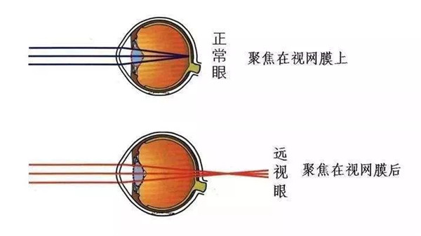 1565660526289470.jpg 01_副本.jpg