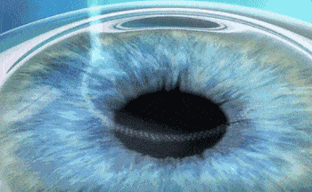 1565768437988642.gif 4.gif