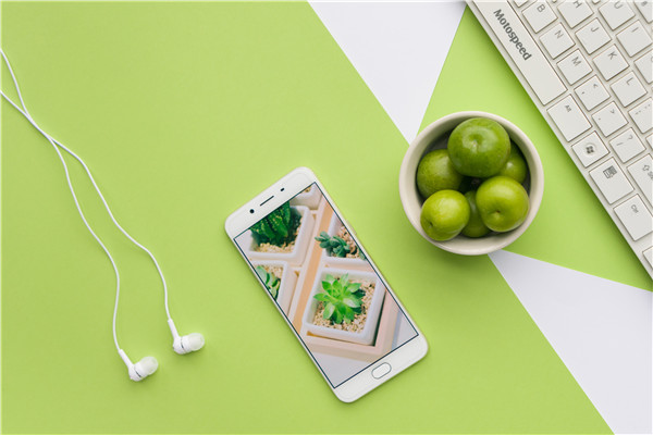 1568433219288474.jpg 摄图网_500487972_副本.jpg