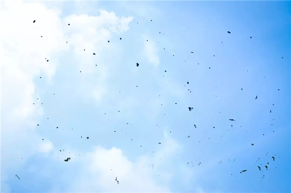 1571801775719259.jpg 3.webp_副本.jpg