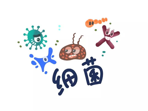 1581405987403203.jpg 2.jpg