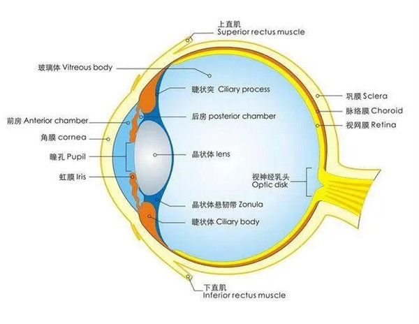 2.webp_副本.jpg