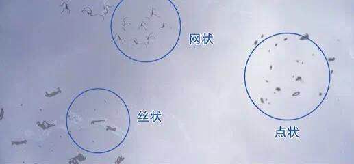 1585527923882974.jpg 01.jpg