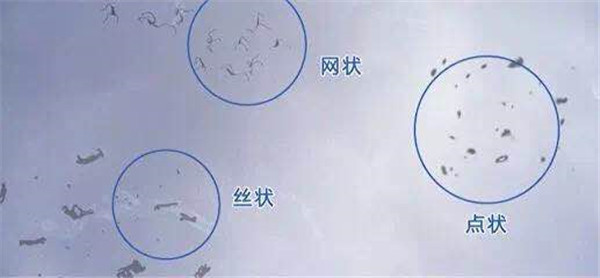 1629069920479675.jpg 01_副本.jpg
