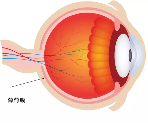 1643332439770631.jpg v2-4a524268db73a333c558f3054c5531e5_r_副本.jpg
