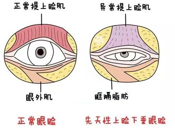 1659660133584297.jpg 02_副本.jpg