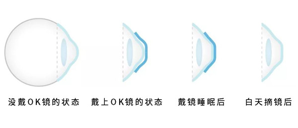 1689814570838798.jpg v2-88cc5268751e8d58ded45cf9fe6ce427_r_副本.jpg
