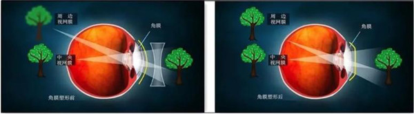 1689814597996266.jpg R-C_副本.jpg