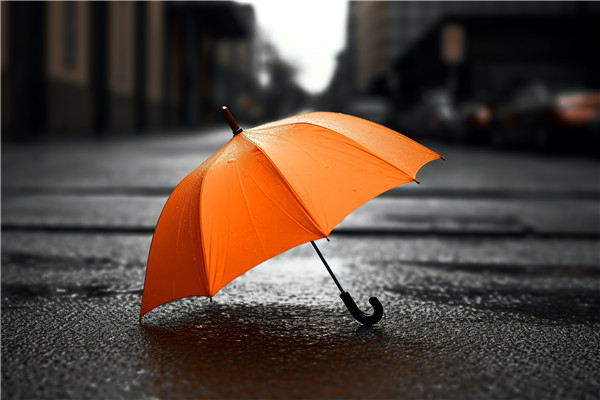 1696379551596965.jpg 摄图网_600264046_明亮的橙色雨伞放置在潮湿的路面上(企业商用)_副本.jpg
